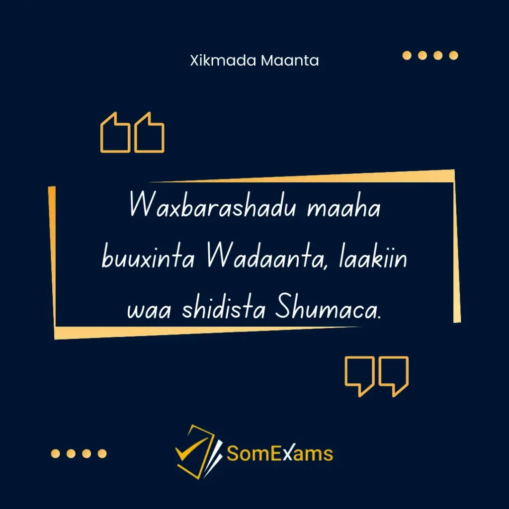 Waxbarashadu maaha buuxinta Wadaanta, laakiin waa shidista Shumaca - Xigasho