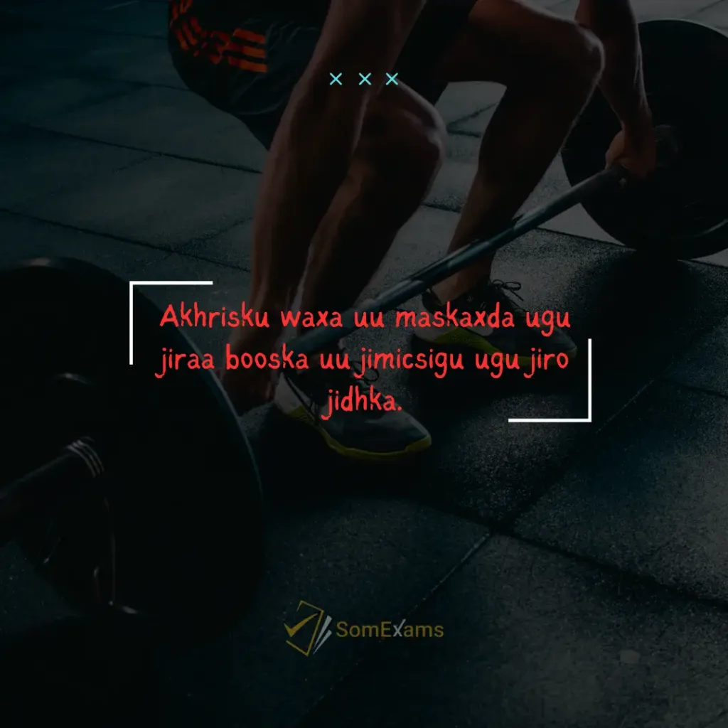 Akhrisku waxa uu maskaxda ugu jiraa booska uu jimicsigu ugu jiro jidhka - Xigasho