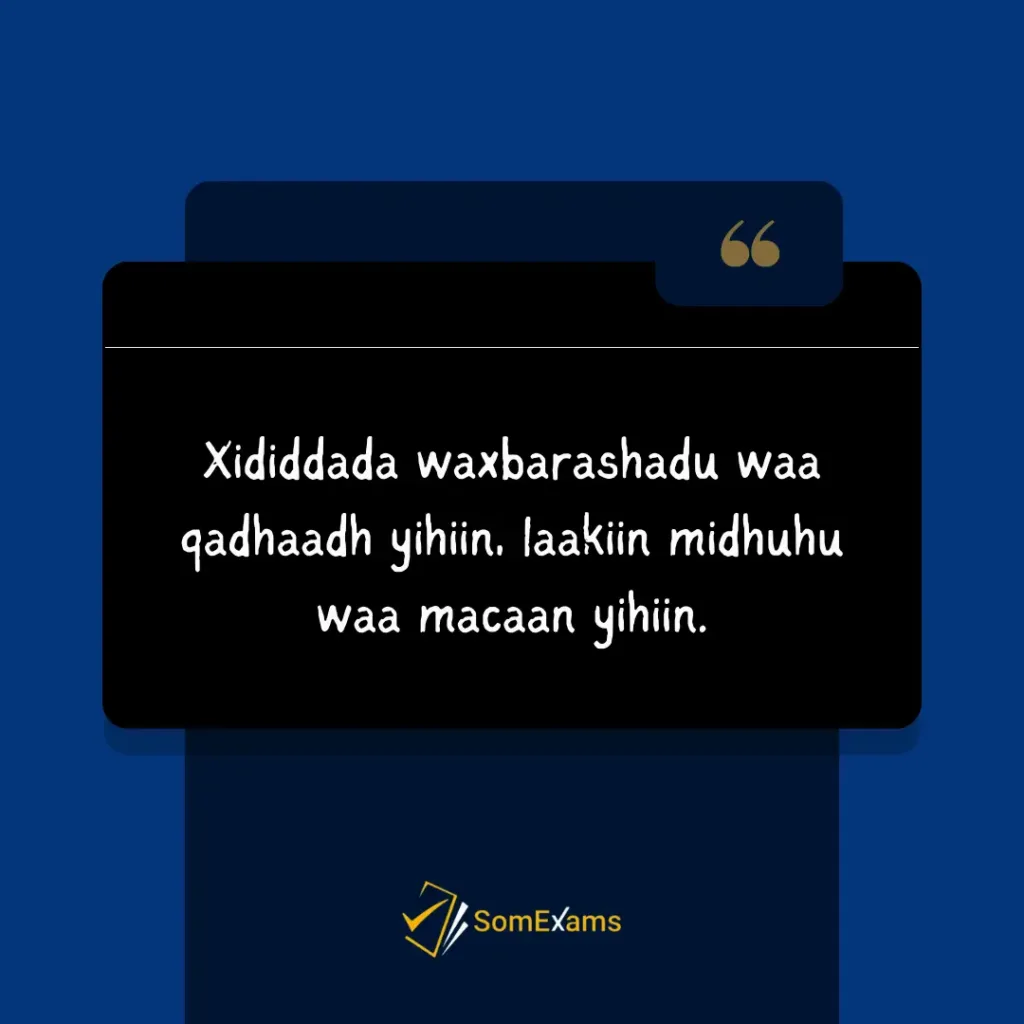 Xididdada waxbarashadu waa qadhaadh yihiin, laakiin midhuhu waa macaan yihiin - Xigasho