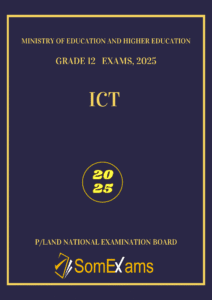 Imtixaanka dawladda Puntland, maadada ICT 2025