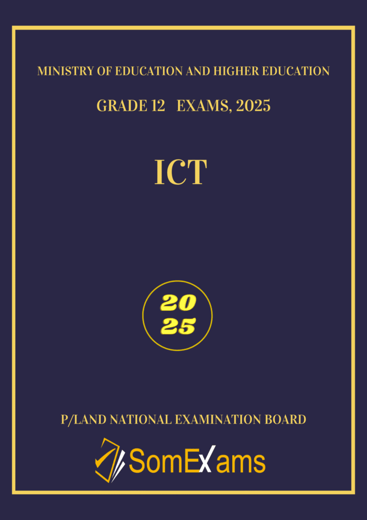 Imtixaanka dawladda Puntland, maadada ICT 2025